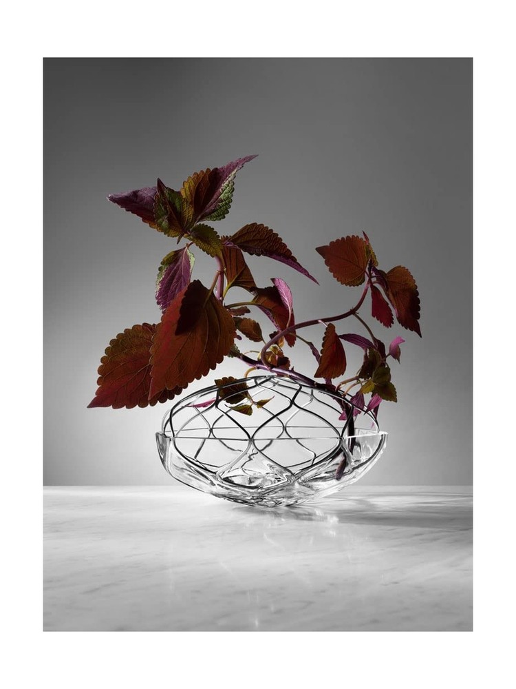 Orrefors Bloom 9" Vase