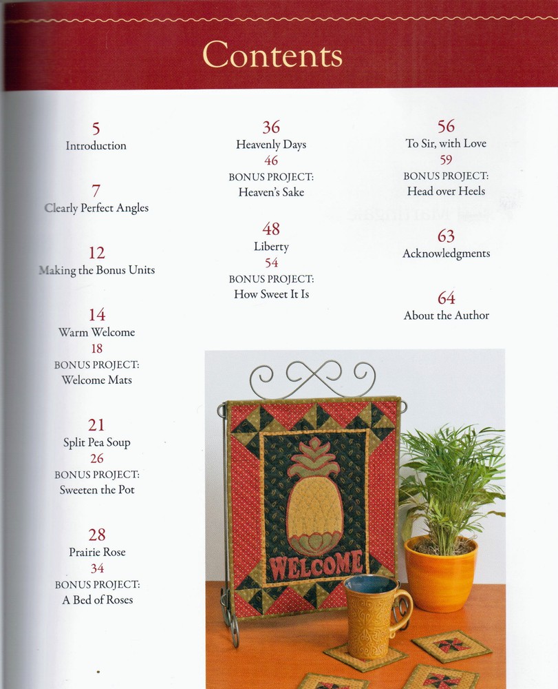 Twice as Nice Quilt Designs w Scrap-Saving Patchwork Quilting Pattern Book NEW