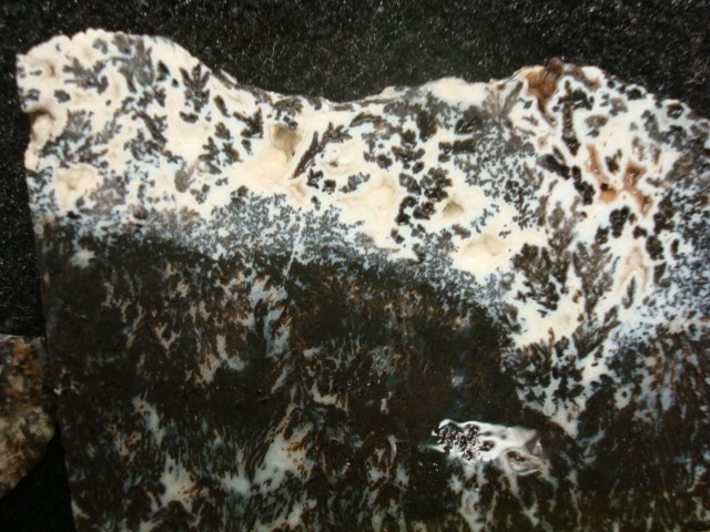 2 unknown jasper slabs