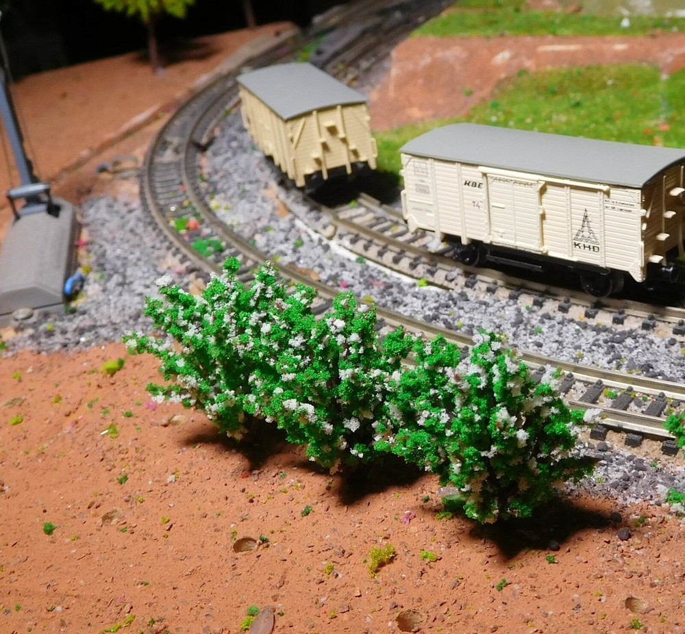 50 White Flowering Bushes, 40 Mm High