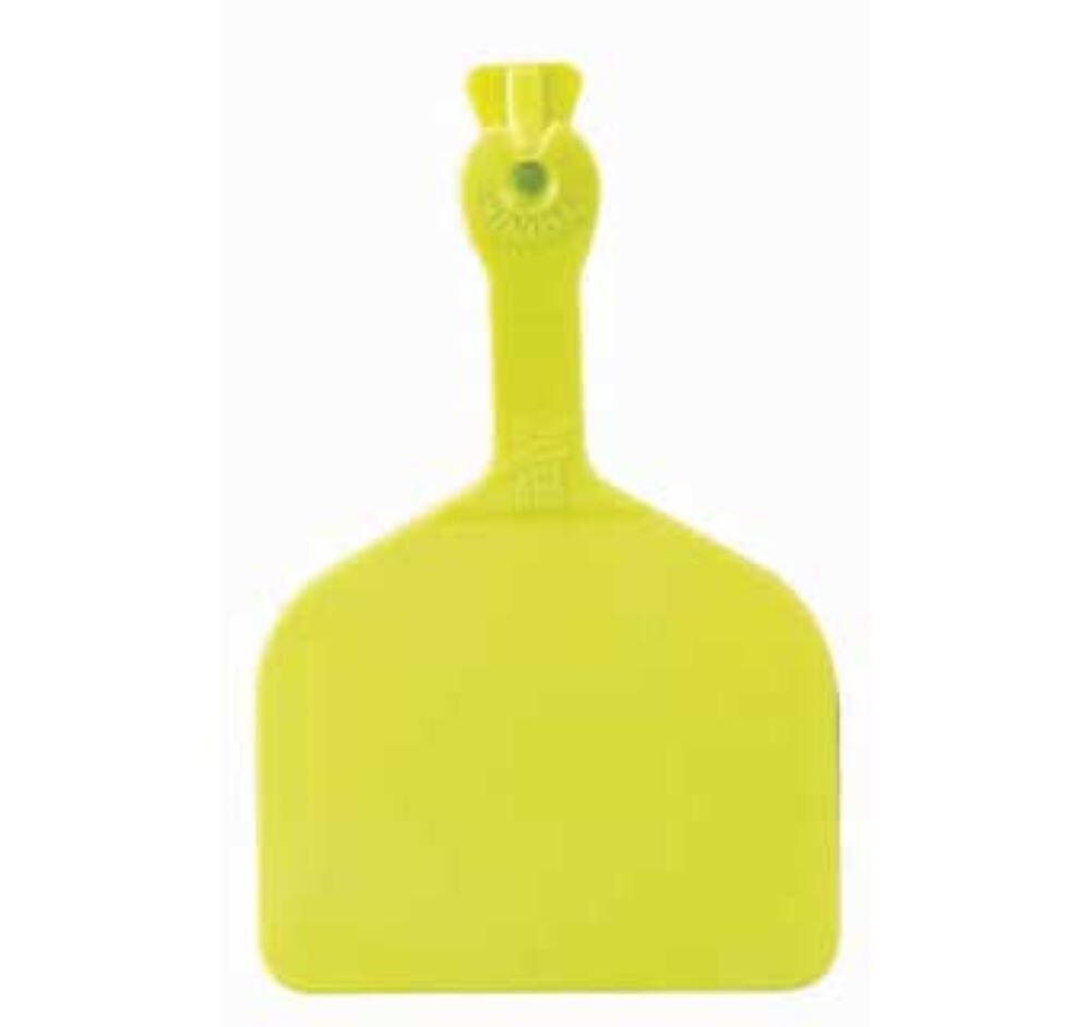 Z Feedlot Ear Tags for Cattle ID CHARTREUSE 50ct
