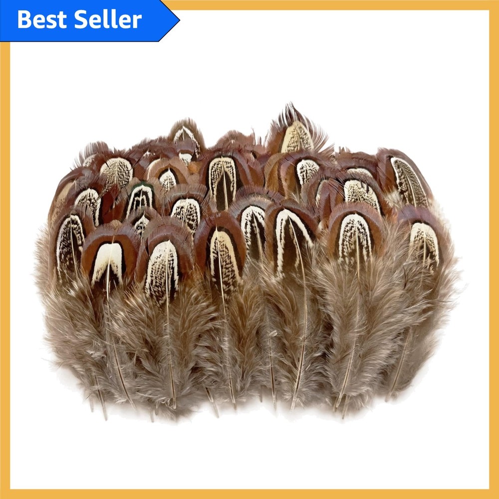 100 pcs Eco-Friendly Pheasant Feathers 2-3 inch for Crafting & Decorating
