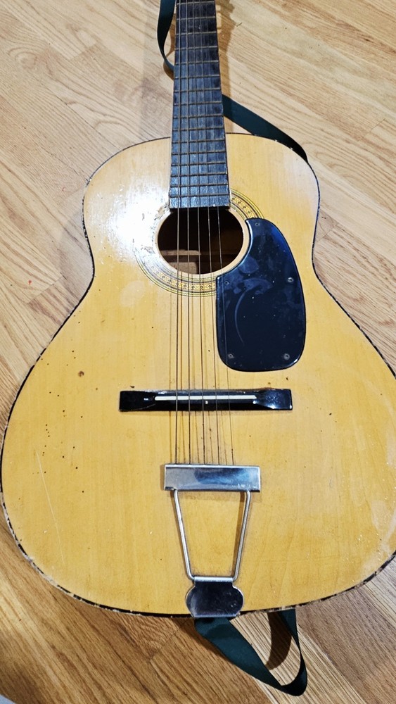 NORMA FG 6 Acoustic Guitar with Case