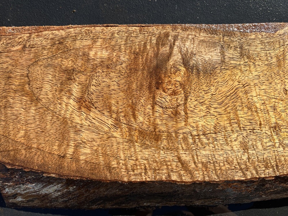 Hawaiian Curly Mango Board #14039