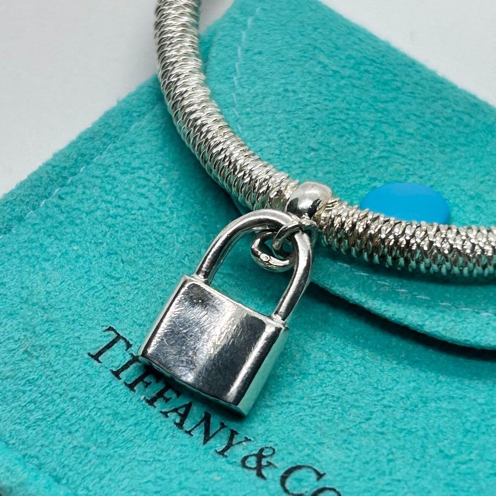 TIFFANY & Co. Somerset Cadena Mesh Bangle, 925 Silver Rare