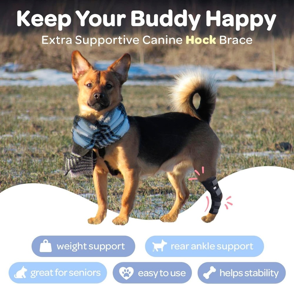 Protective Compression Wrap for Dog Hock Joint - Relief for Arthritis & Injuries
