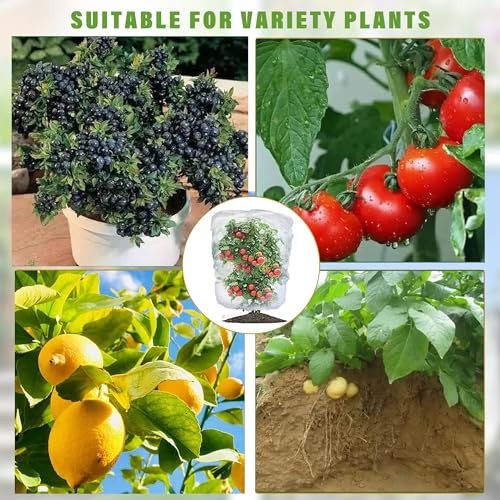 Drawstring Blueberry Netting for Bushes-(Pack) - Easy Install 4.92×3.94Ft 4