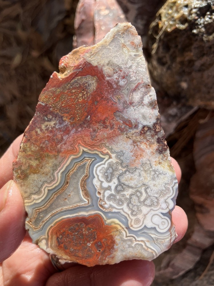 Crazy Lace Agate Slab