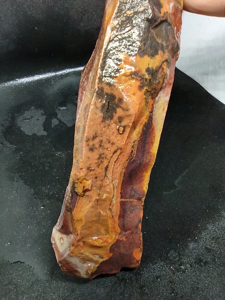 Wonders time Specimen Slab Cab Cut Carve Display
