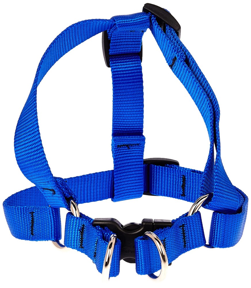 Basics 3/4" Blue 15-21" Step In Harness for Small Dogs