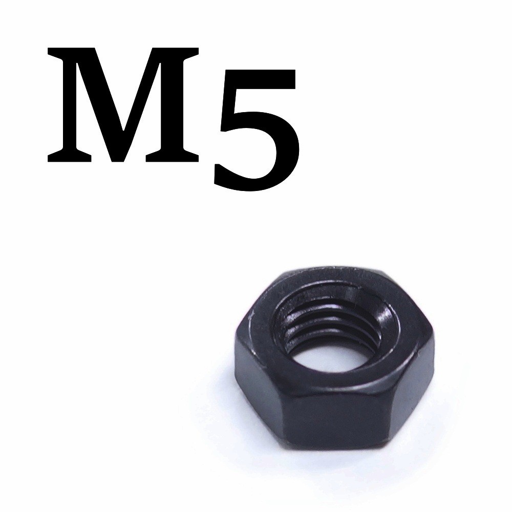 M5 Black Stainless Steel Hex Nuts, 2 Types (2pcs)