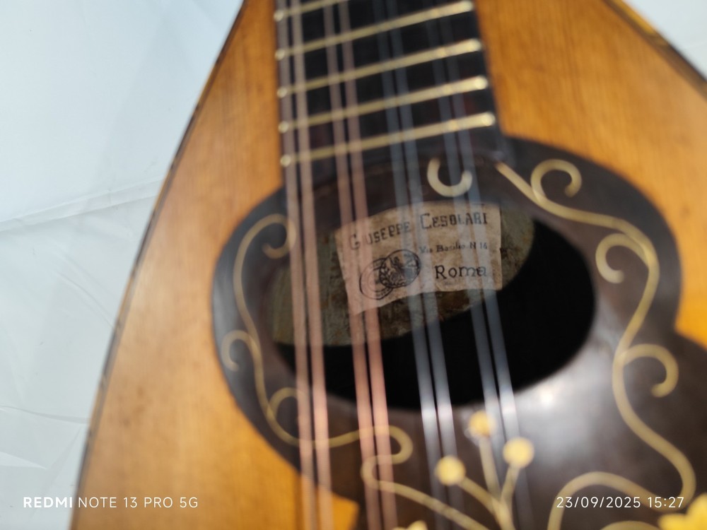 Mandolin 4/4 Giuseppe Cesolari 1930 Rome 曼陀林 만돌린マンドリン