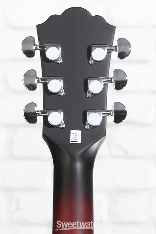 Washburn Americana B6 6-string Open-back Banjo