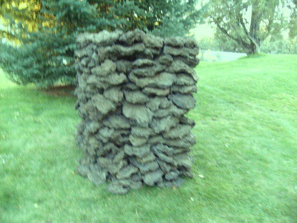 2 + Ton Real Native Oregon Lava Foam Stone
