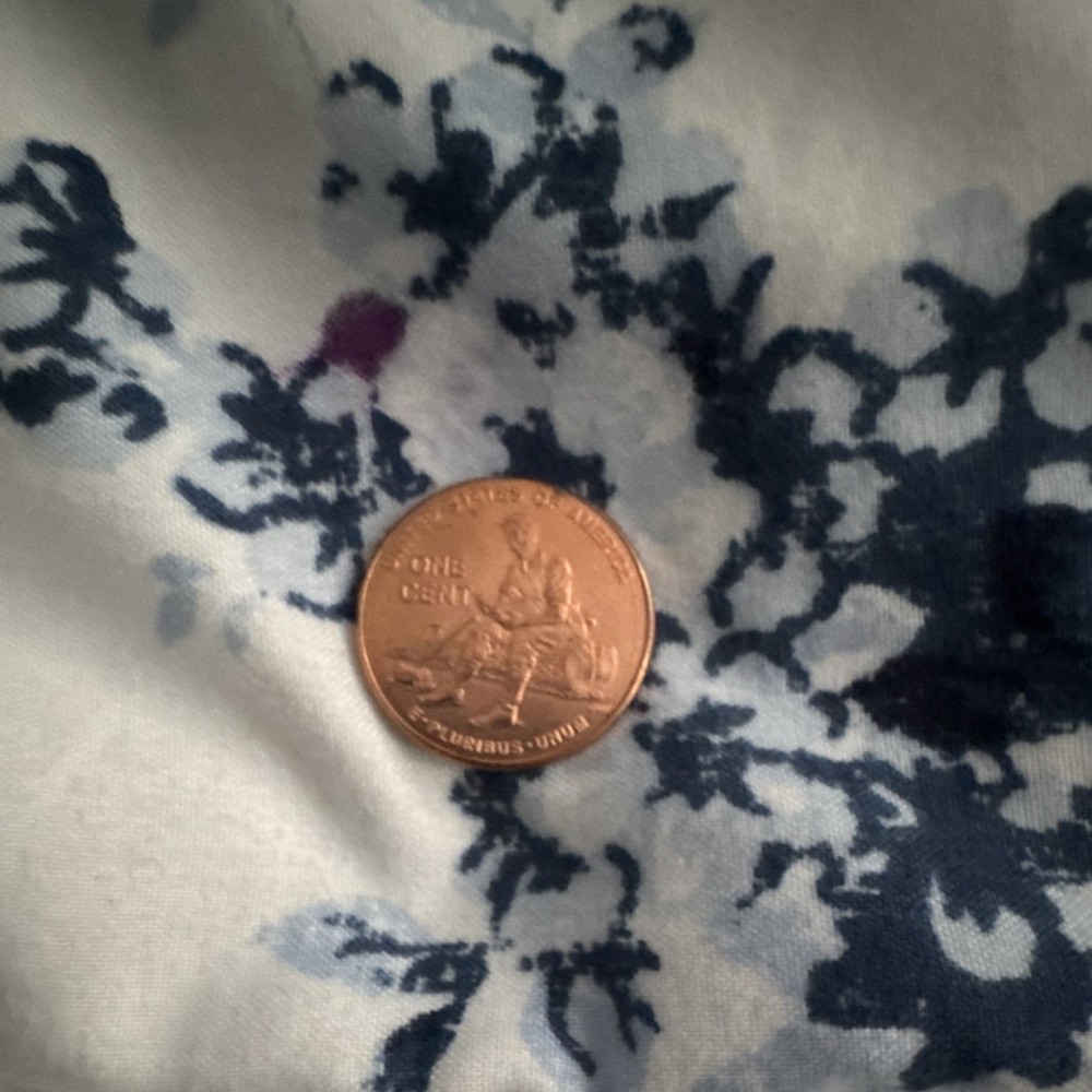 2009 Lincoln Bicentennial Formative Years D Mint Uncirculated Small Cent