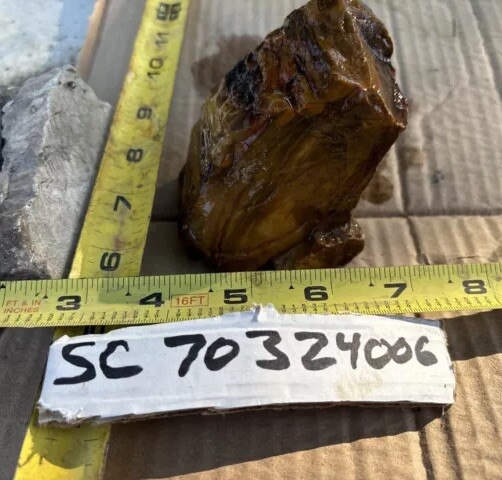 Silver Creek Junction petrified wood