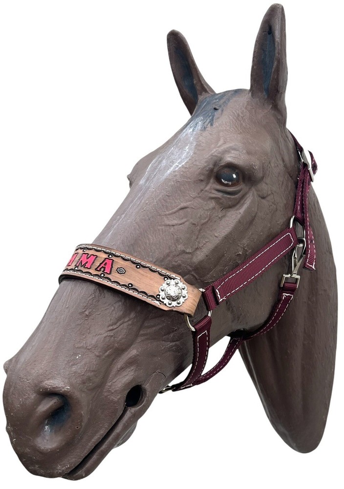 Personalized Nylon Burgundy Horse Halter