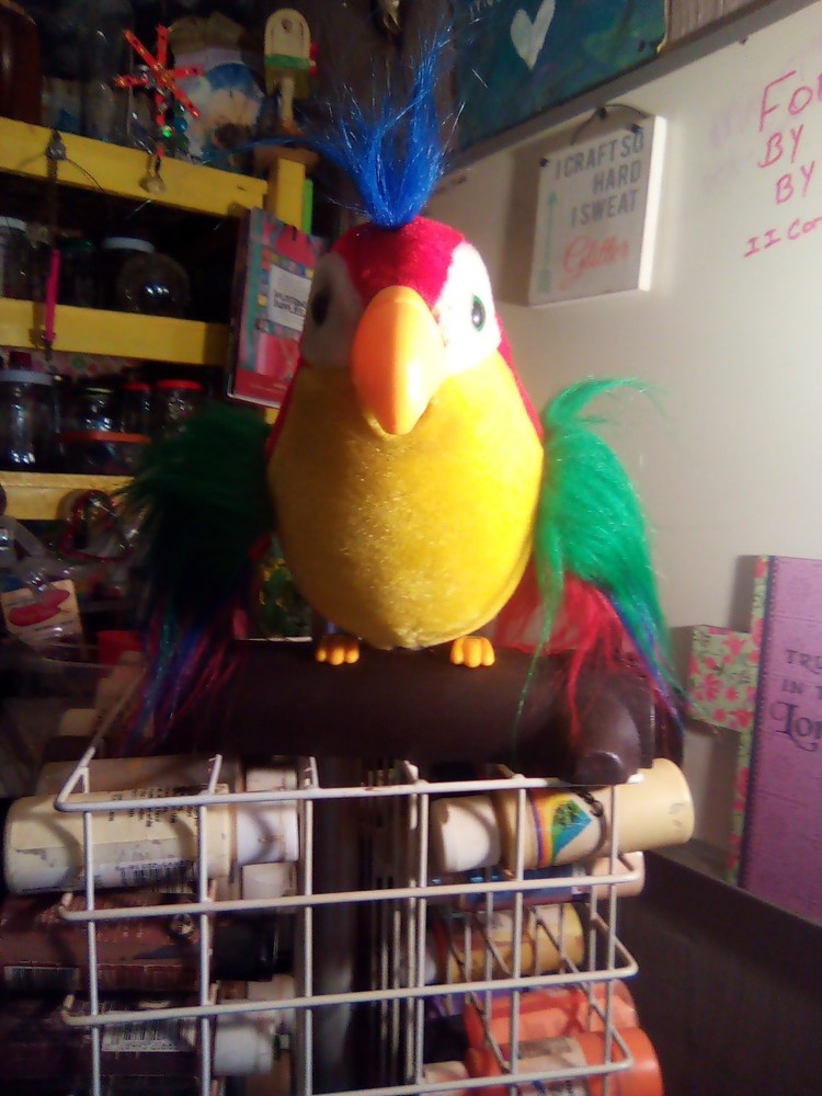 Colorful Parrot That Talks