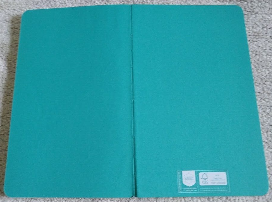 Green Inspired Journal TODAY IS THE DAY.