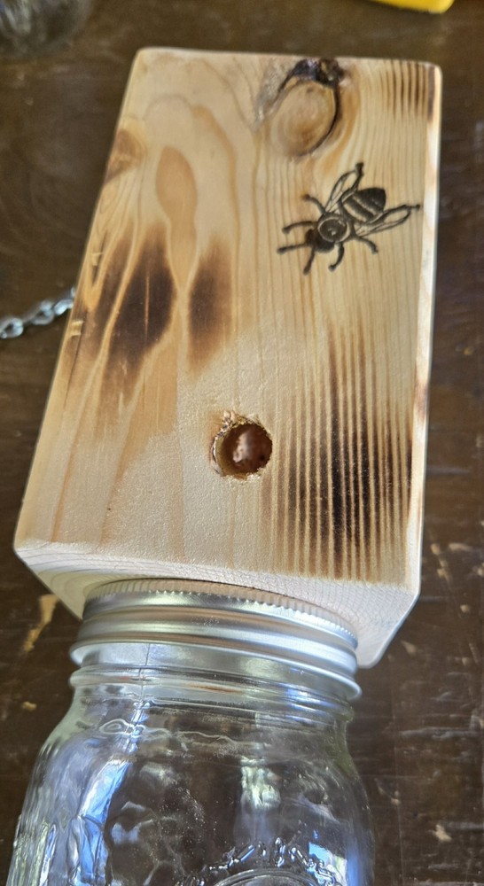 CARPENTER 'BORE' BEE TRAPS THAT WORK!