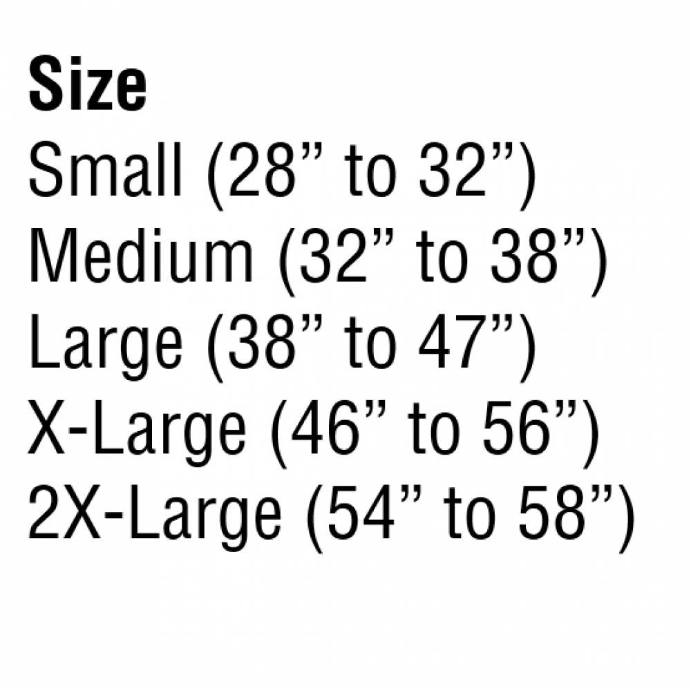 SAS 7162 Back Support Lift Aid Adjustable Polyester Safety Belt, Medium