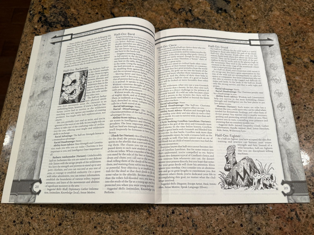 Dungeons & Dragons Hero Builder's Guidebook free shipping