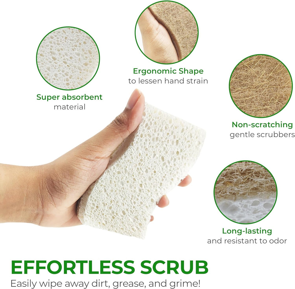 Biodegradable Natural Kitchen Sponge - Compostable Cellulose and Coconut Walnut