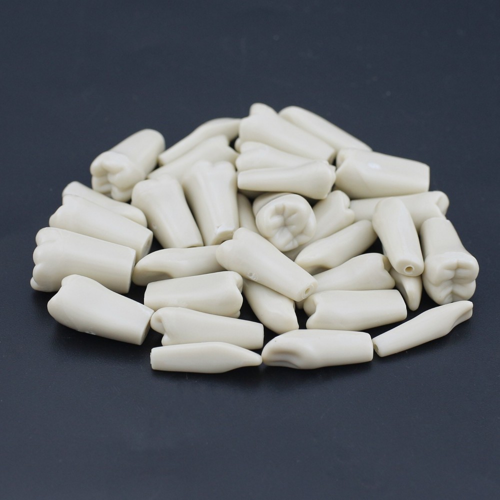 Columbia 860 Type Dental Simulation 32PCS Teeth Typodont Model Exam Teaching