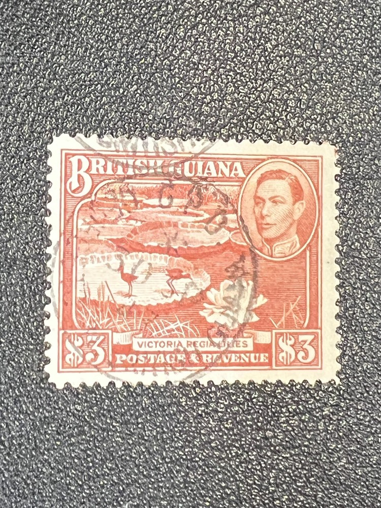 British Guiana stamp 241 used