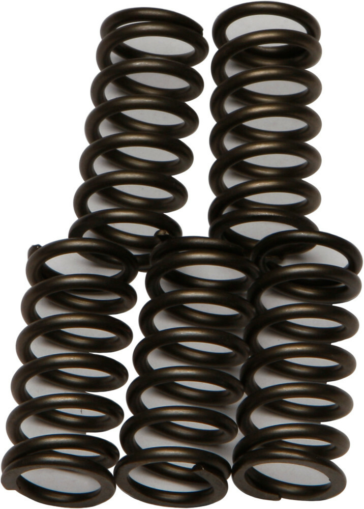 EBC CSK Clutch Spring Kit CSK176