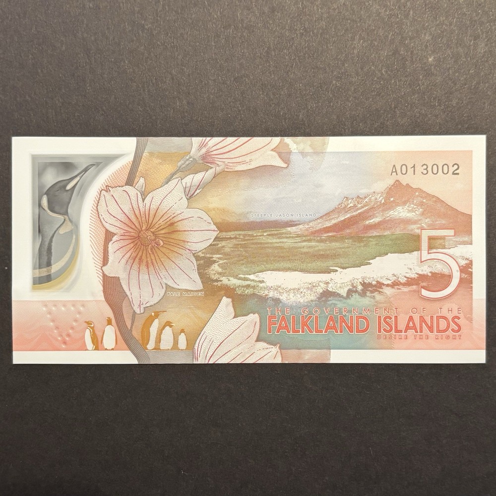 2025 Uncirculated Falkland Islands Polymer Five Pound Note £5