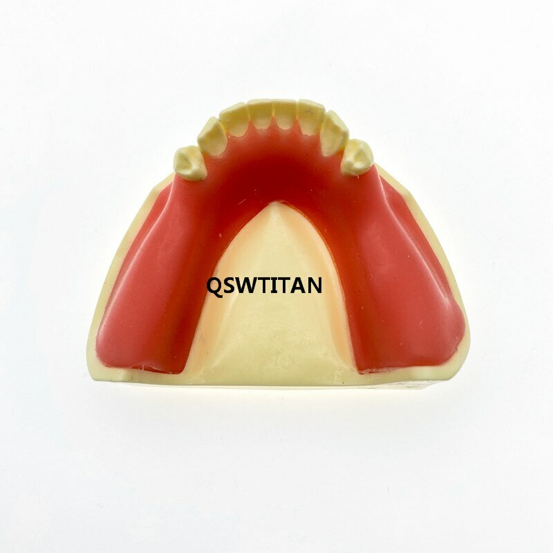 Teeth Model Implant Practice For incision drilling Practices Dental Study Model