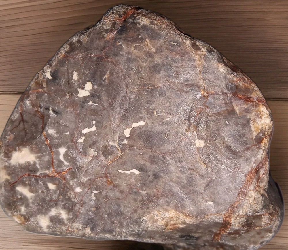 Petrified Agatized Fossilized Wood Rough 2 lbs+