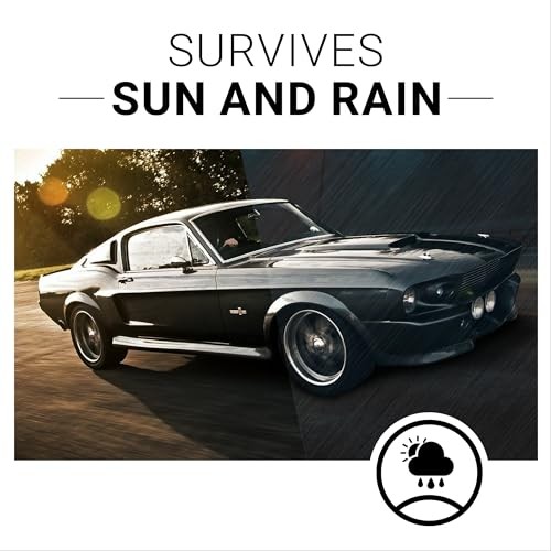 Plastic Restorer | Bring Plastic, Rubber, and Vinyl Back to Life! | User