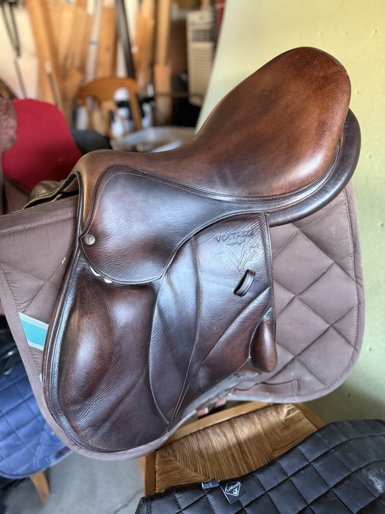 voltaire lexington saddle