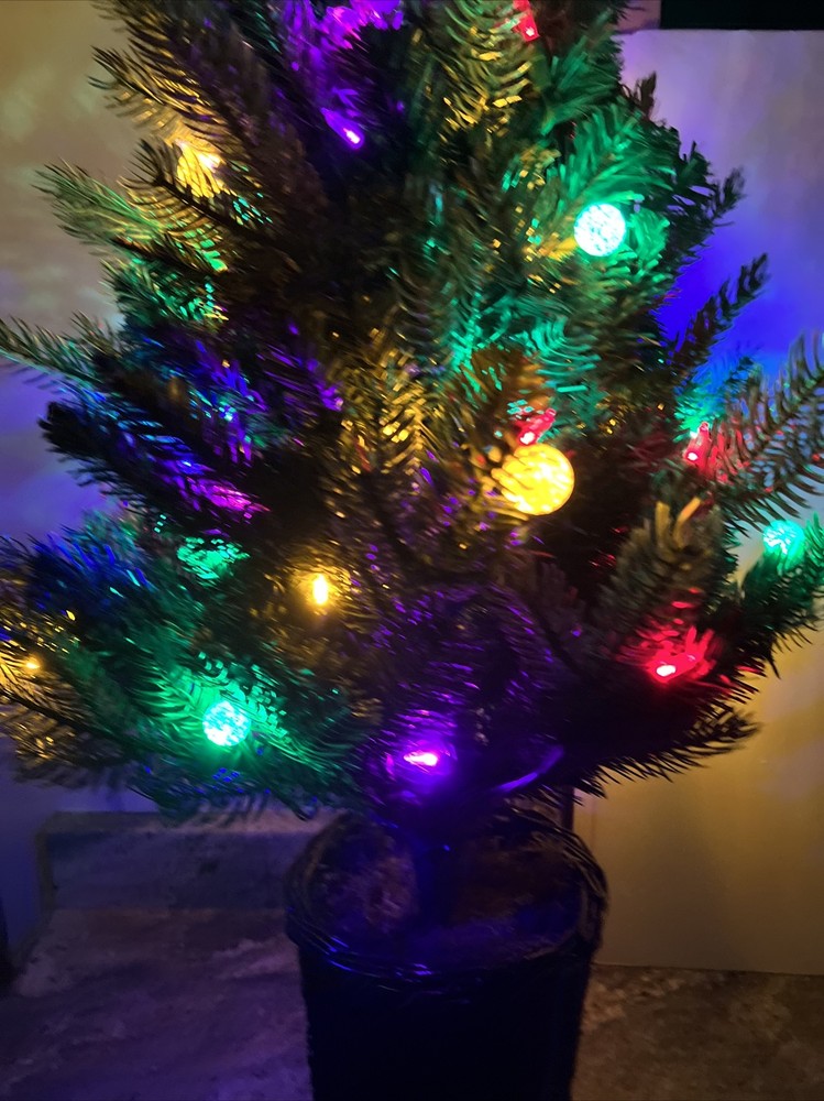 Bethlehem Lights 3' URN Mixed Bulb Christmas Tree MULTICOLOR LIGHTED