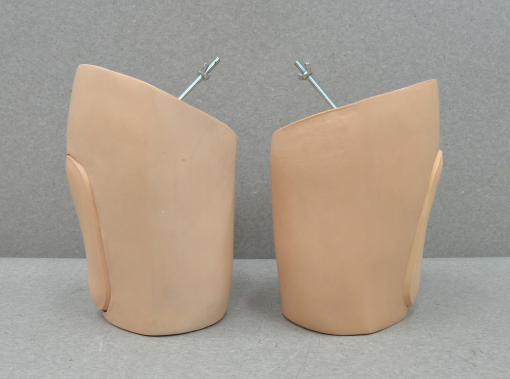 Laerdal In-Service Home Care Training Simulator 375-20001