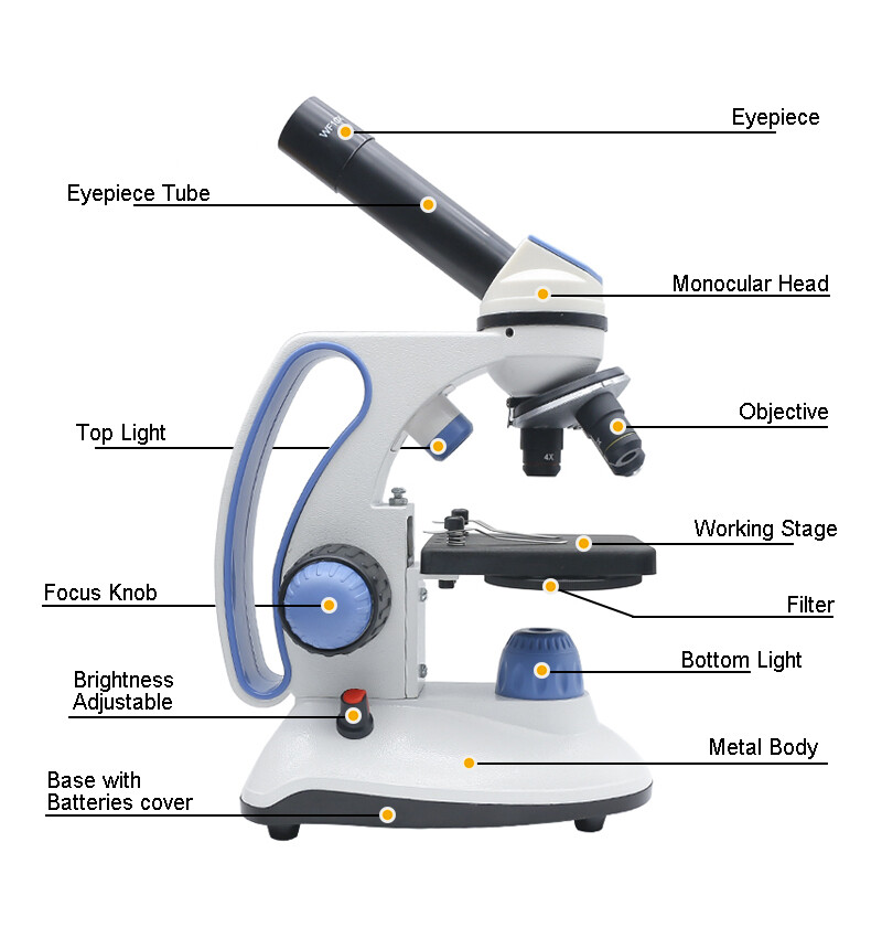 2000x Biological HD Microscope Student laboratory Lab w/USB Electronic Eyepiece