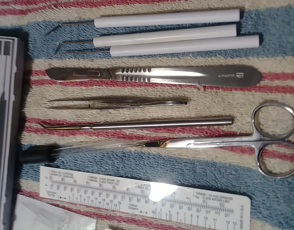 Vintage Wards Dissection Kit Bug 14-0781