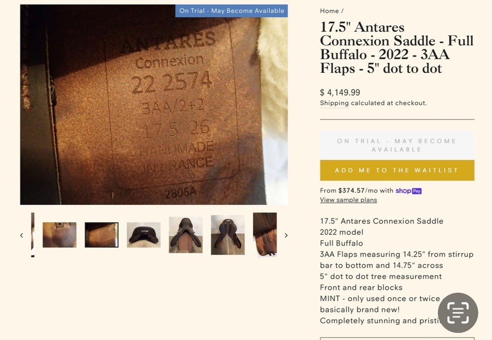 2022 Antares 17.5” Connexion Saddle 3AA Flaps -5” Dot To Dot
