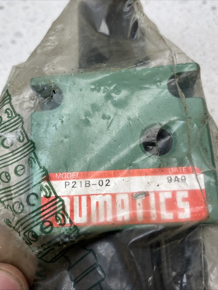 P21B-02 Numatics Air Regulator Sealed