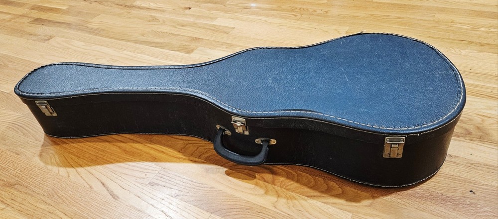 NORMA FG 6 Acoustic Guitar with Case