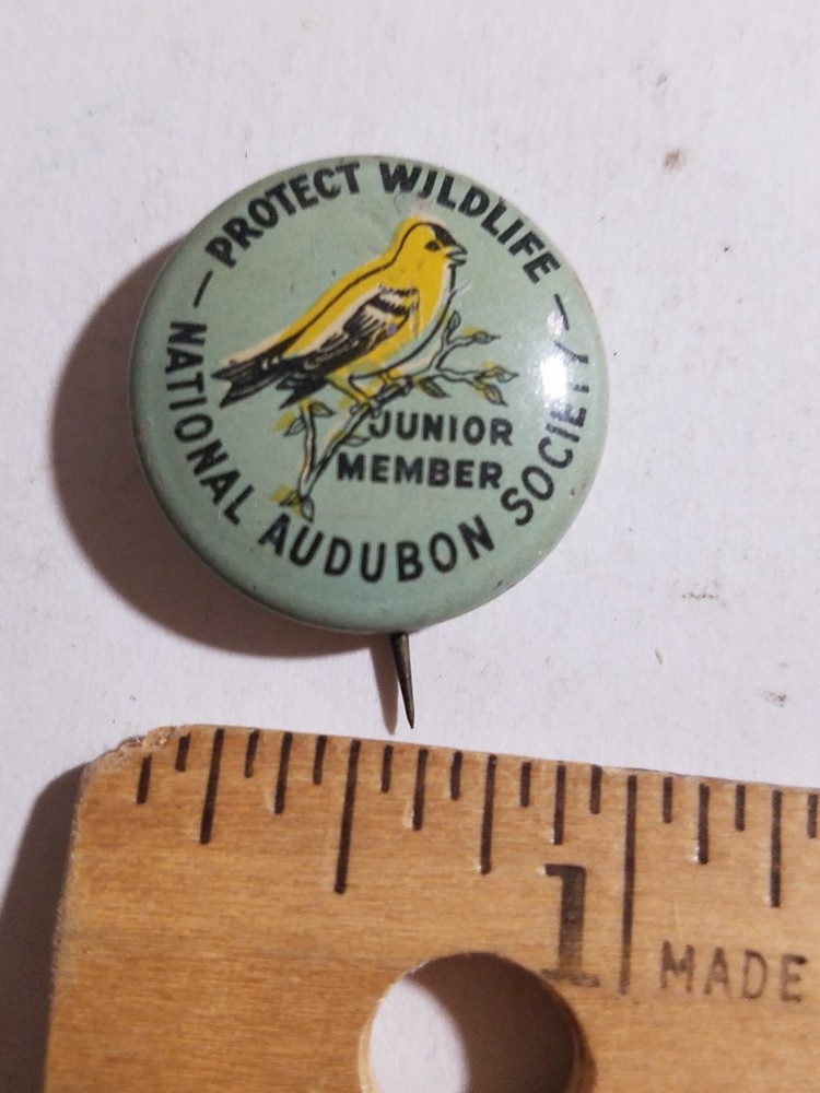 National Audubon Society Junior Member Pinback Button