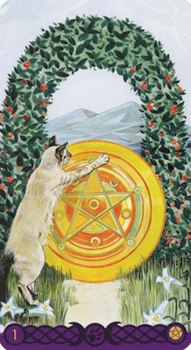 Tarot of Pagan Cats Tarot Card Deck!