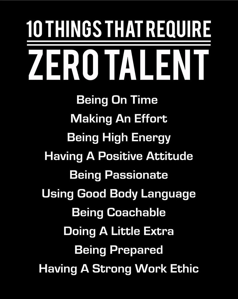 BGM 10 Things That Require ZERO Talent  3x4"  Refrigerator Fridge MAGNET