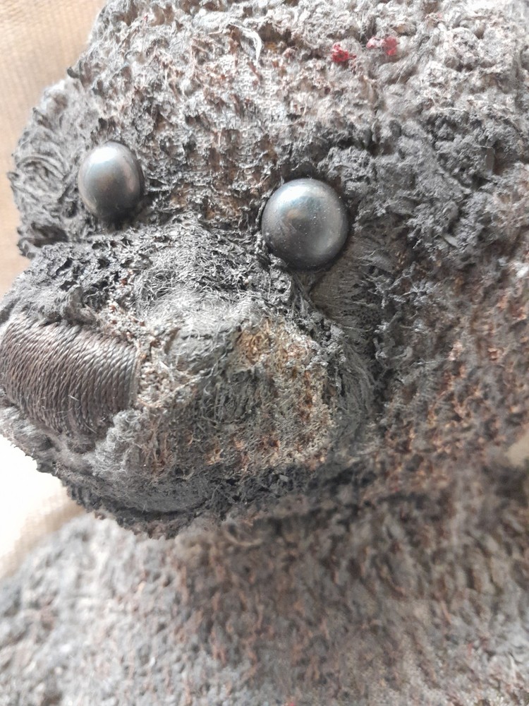 Brown Bear / Haunted Doll / READ DESCRIPTION