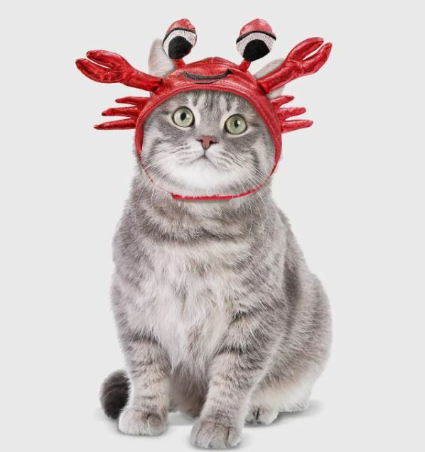 New ! Crab Hat Halloween Cat Costume - Hyde & EEK! Boutique