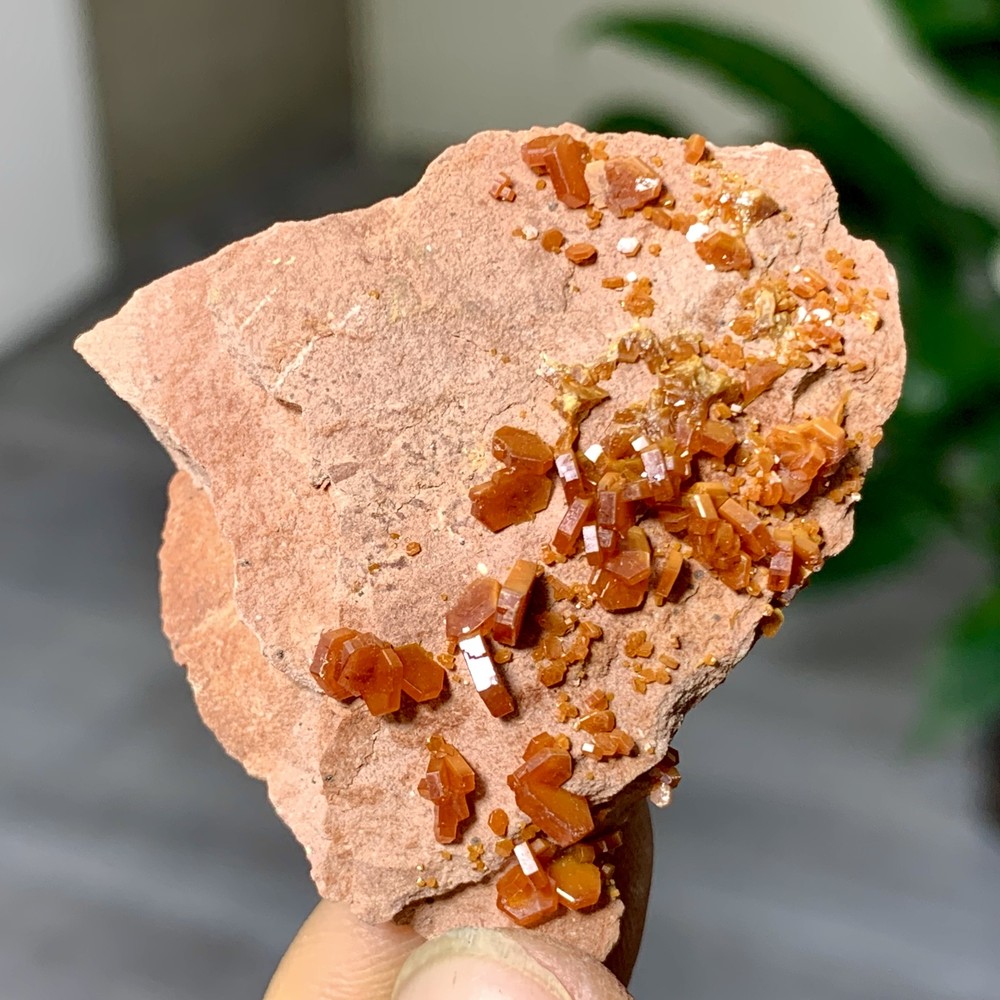 18GNatural Beautiful Vanadinite Atone Cluster Quartz Mineral SamplefromMorocco