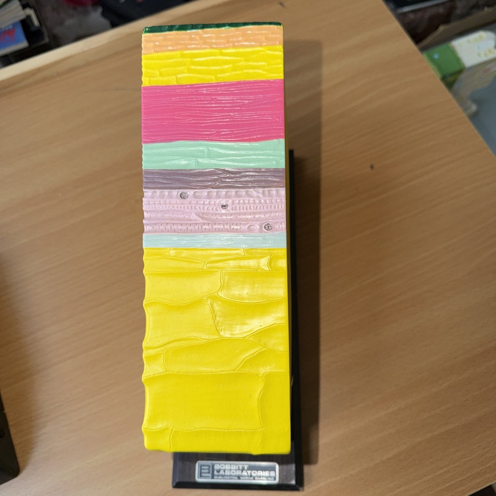 Bobbitt Dicot Plant Stem Model