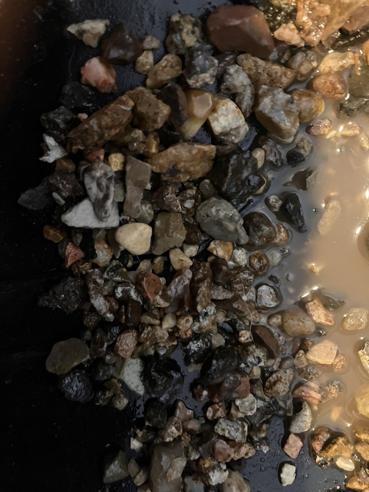 Placer Gold Pay dirt